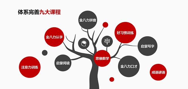 金八力教育